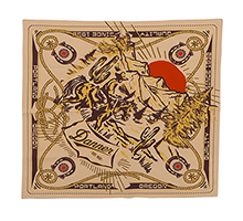 Insect Shield Bandana BROWN