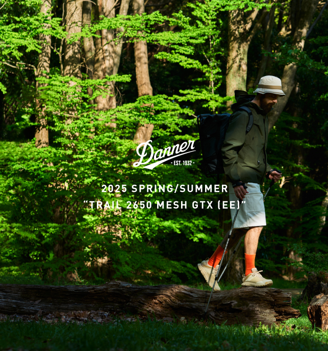 TRAIL2650 MESH GTX (EE)